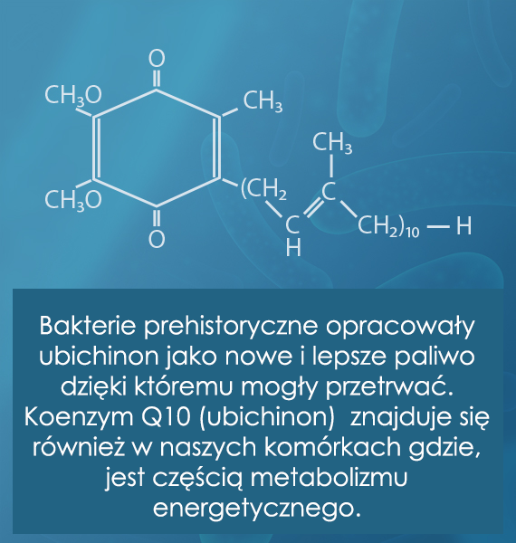 Koenzym Q10 - naturalna energia